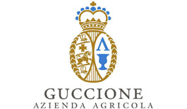 img Francesco Guccione